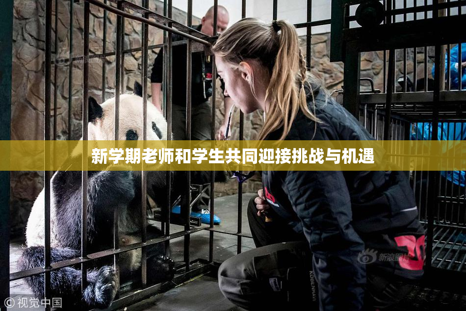 新学期老师和学生共同迎接挑战与机遇
