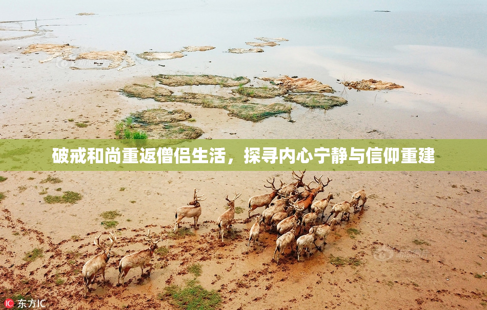 破戒和尚重返僧侣生活，探寻内心宁静与信仰重建