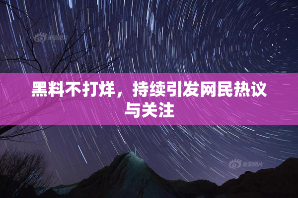 黑料不打烊，持续引发网民热议与关注