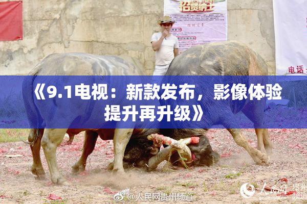 《9.1电视：新款发布，影像体验提升再升级》