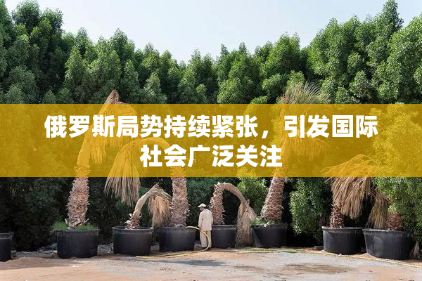 俄罗斯局势持续紧张，引发国际社会广泛关注