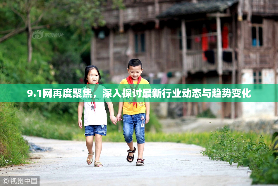 9.1网再度聚焦，深入探讨最新行业动态与趋势变化