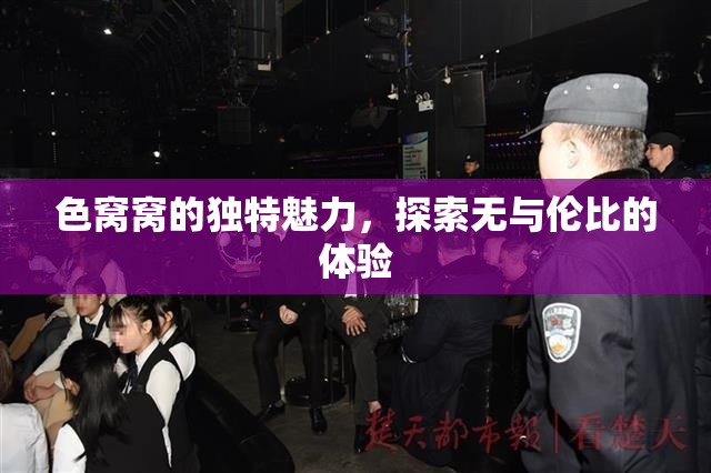 色窝窝的独特魅力，探索无与伦比的体验