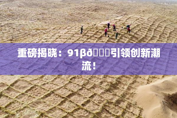 重磅揭晓：91β🔞引领创新潮流！