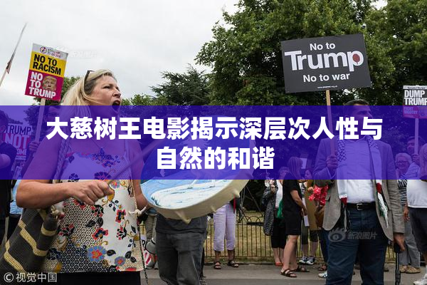 大慈树王电影揭示深层次人性与自然的和谐