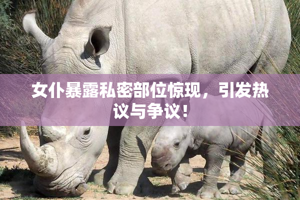 女仆暴露私密部位惊现，引发热议与争议！
