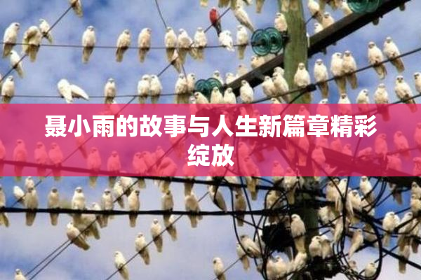 聂小雨的故事与人生新篇章精彩绽放