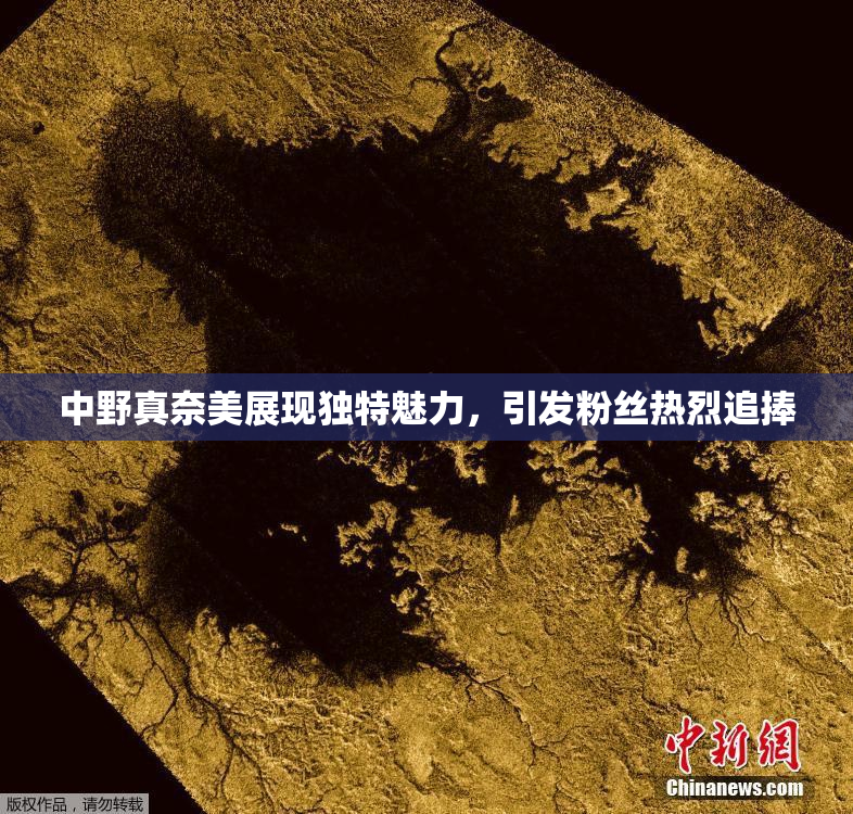 中野真奈美展现独特魅力，引发粉丝热烈追捧