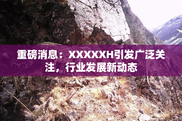 重磅消息：XXXXXH引发广泛关注，行业发展新动态