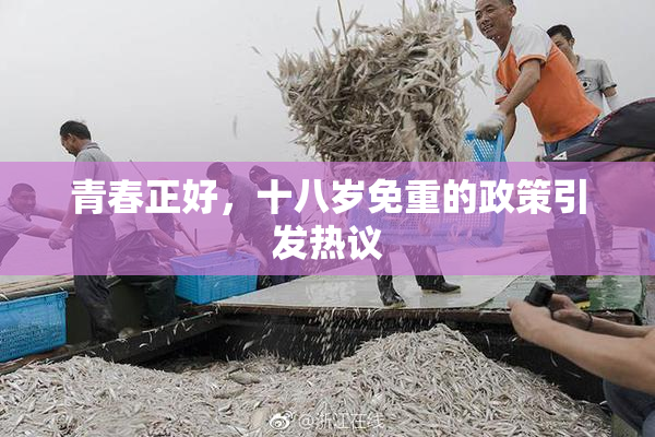 青春正好，十八岁免重的政策引发热议