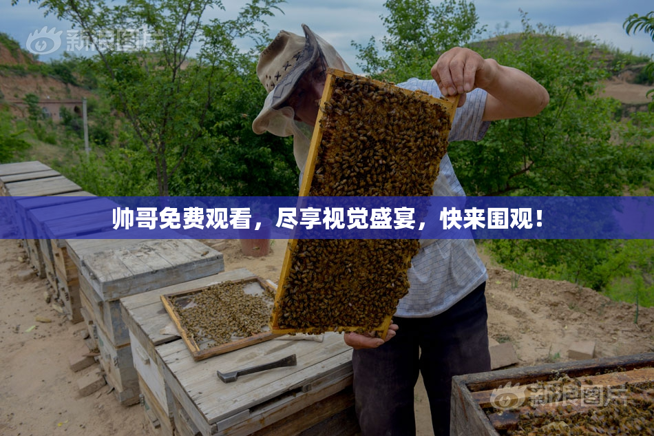 帅哥免费观看，尽享视觉盛宴，快来围观！