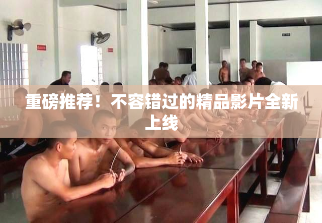重磅推荐！不容错过的精品影片全新上线