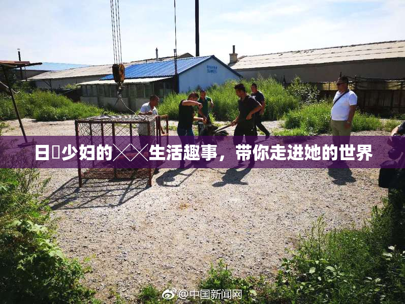 日夲少妇的╳╳生活趣事，带你走进她的世界