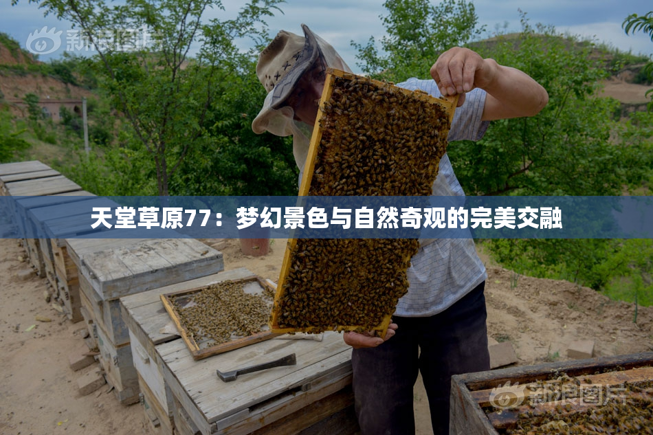 天堂草原77：梦幻景色与自然奇观的完美交融