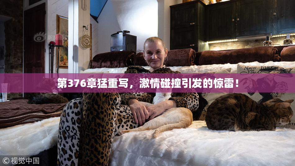 第376章猛重写，激情碰撞引发的惊雷！