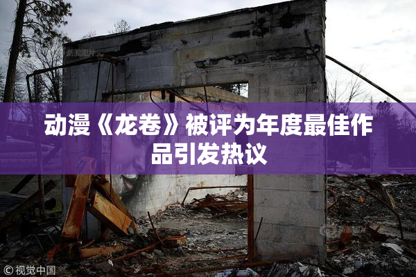 动漫《龙卷》被评为年度最佳作品引发热议