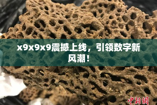 x9x9x9震撼上线，引领数字新风潮！