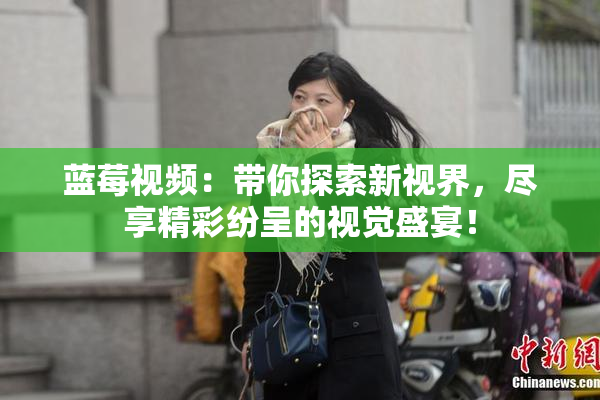 蓝莓视频：带你探索新视界，尽享精彩纷呈的视觉盛宴！