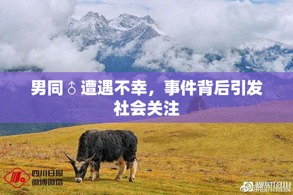 男同♂遭遇不幸，事件背后引发社会关注