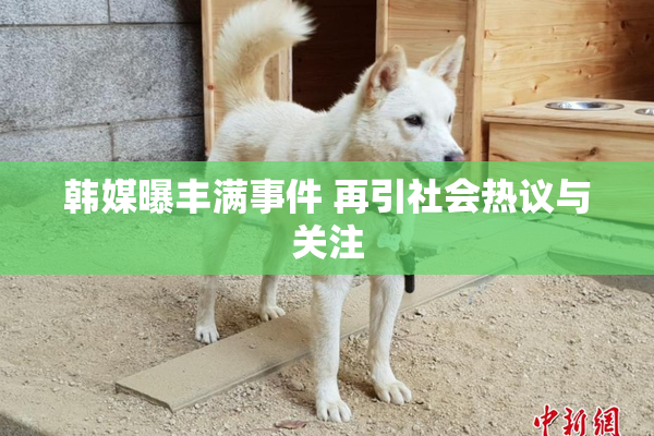 韩媒曝丰满事件 再引社会热议与关注