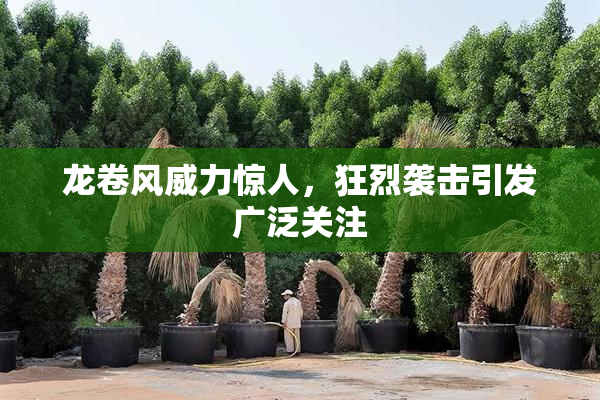 龙卷风威力惊人，狂烈袭击引发广泛关注