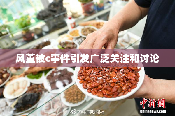 风堇被c事件引发广泛关注和讨论