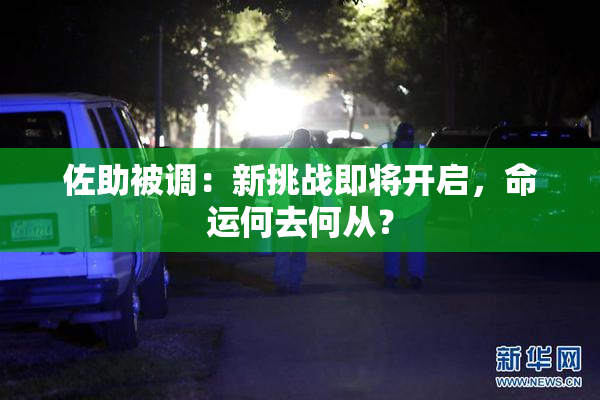 佐助被调：新挑战即将开启，命运何去何从？