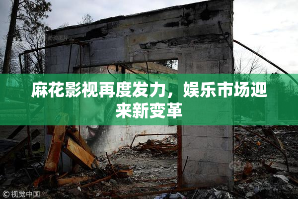 麻花影视再度发力，娱乐市场迎来新变革