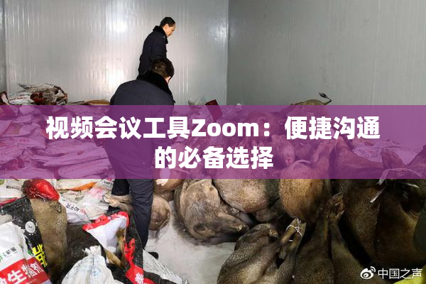 视频会议工具Zoom：便捷沟通的必备选择