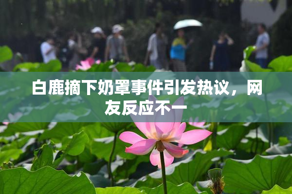 白鹿摘下奶罩事件引发热议，网友反应不一