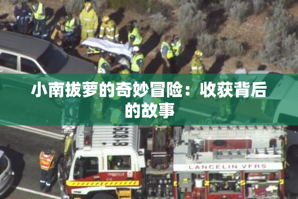小南拔萝的奇妙冒险：收获背后的故事