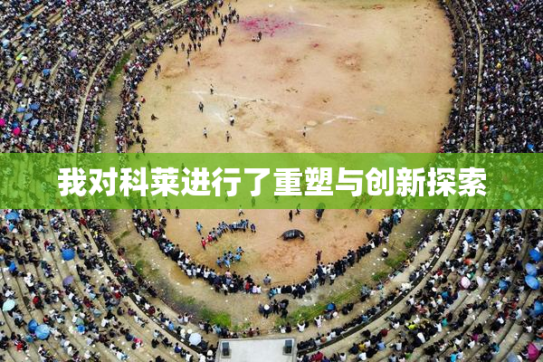 我对科莱进行了重塑与创新探索