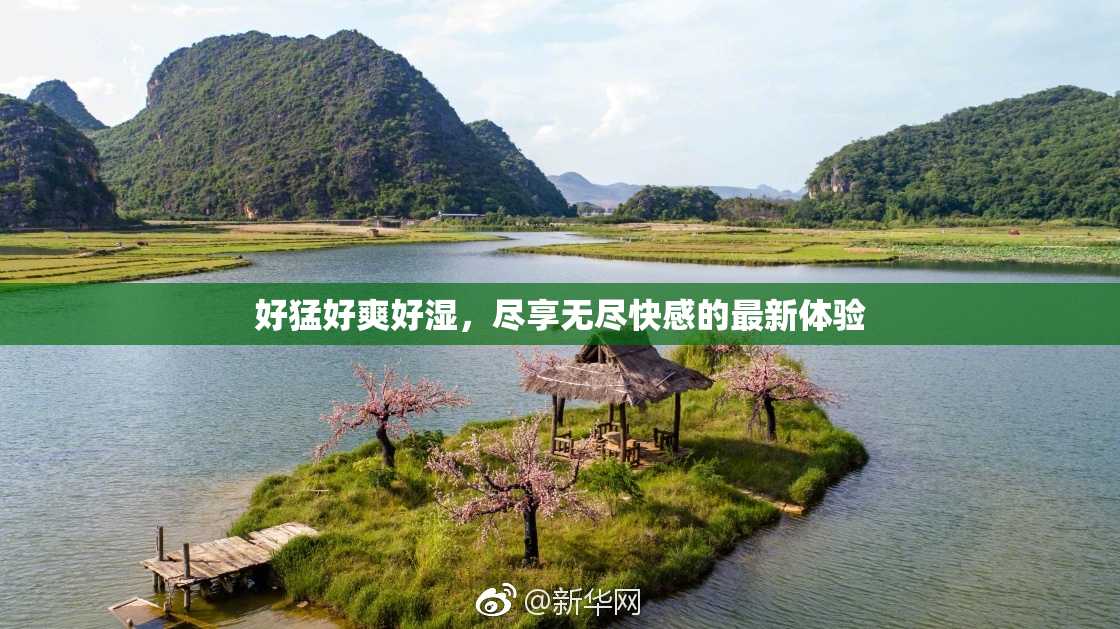 好猛好爽好湿，尽享无尽快感的最新体验
