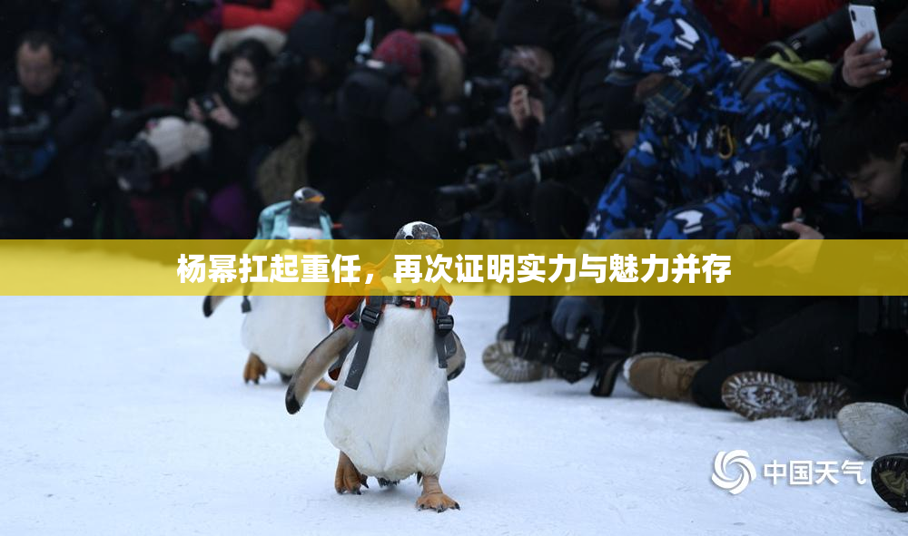 杨幂扛起重任，再次证明实力与魅力并存