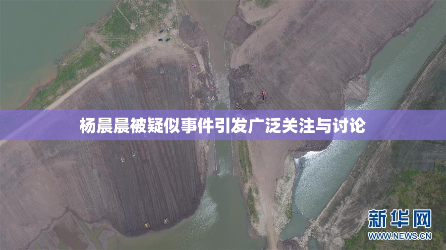 杨晨晨被疑似事件引发广泛关注与讨论