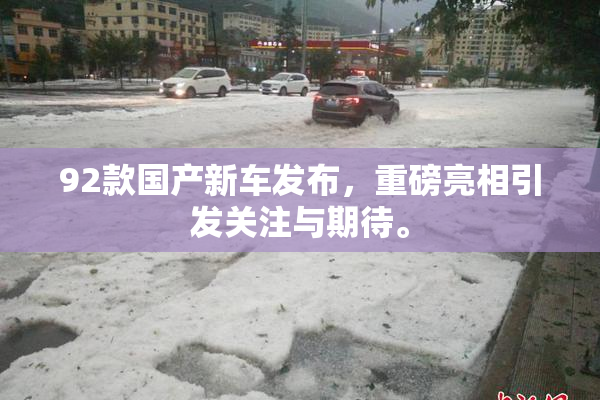92款国产新车发布，重磅亮相引发关注与期待。