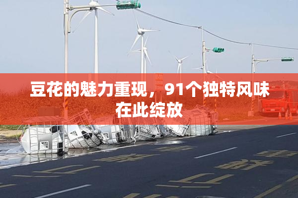 豆花的魅力重现，91个独特风味在此绽放