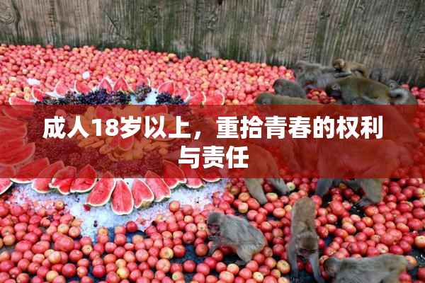 成人18岁以上，重拾青春的权利与责任
