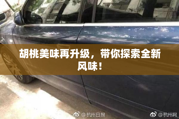 胡桃美味再升级，带你探索全新风味！