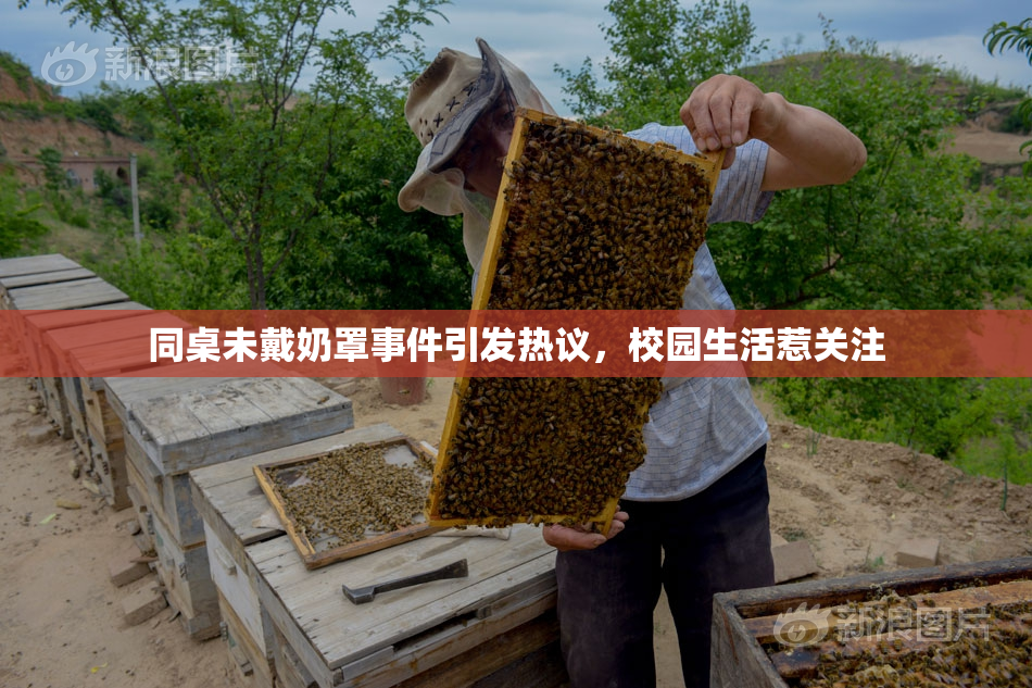 同桌未戴奶罩事件引发热议，校园生活惹关注
