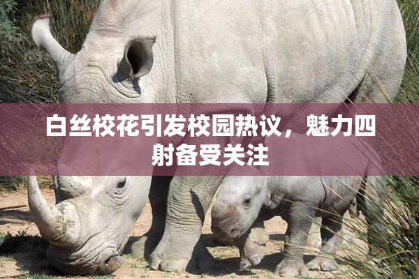 白丝校花引发校园热议，魅力四射备受关注