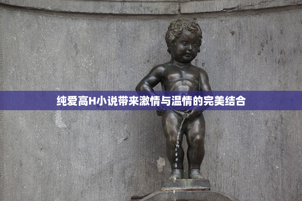 纯爱高H小说带来激情与温情的完美结合