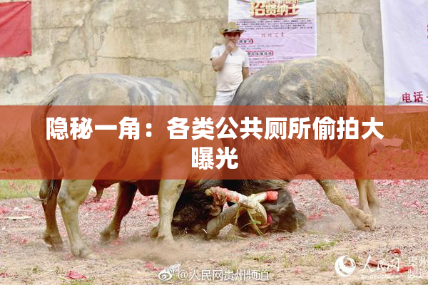 隐秘一角：各类公共厕所偷拍大曝光