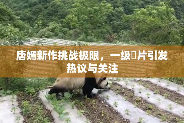 唐嫣新作挑战极限，一级婬片引发热议与关注