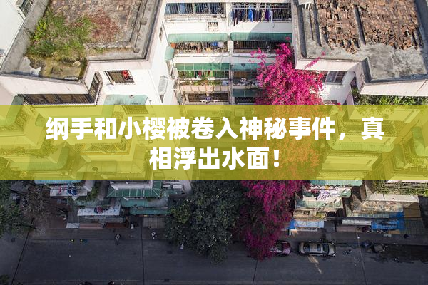 纲手和小樱被卷入神秘事件，真相浮出水面！