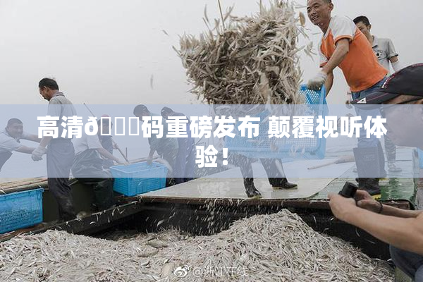 高清🈚码重磅发布 颠覆视听体验！