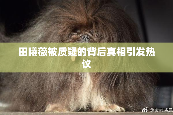 田曦薇被质疑的背后真相引发热议