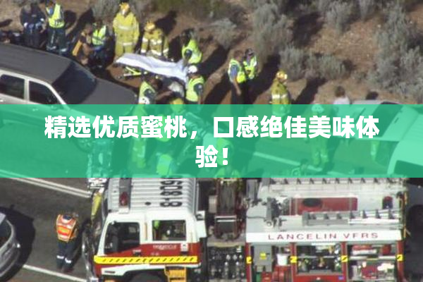 精选优质蜜桃，口感绝佳美味体验！