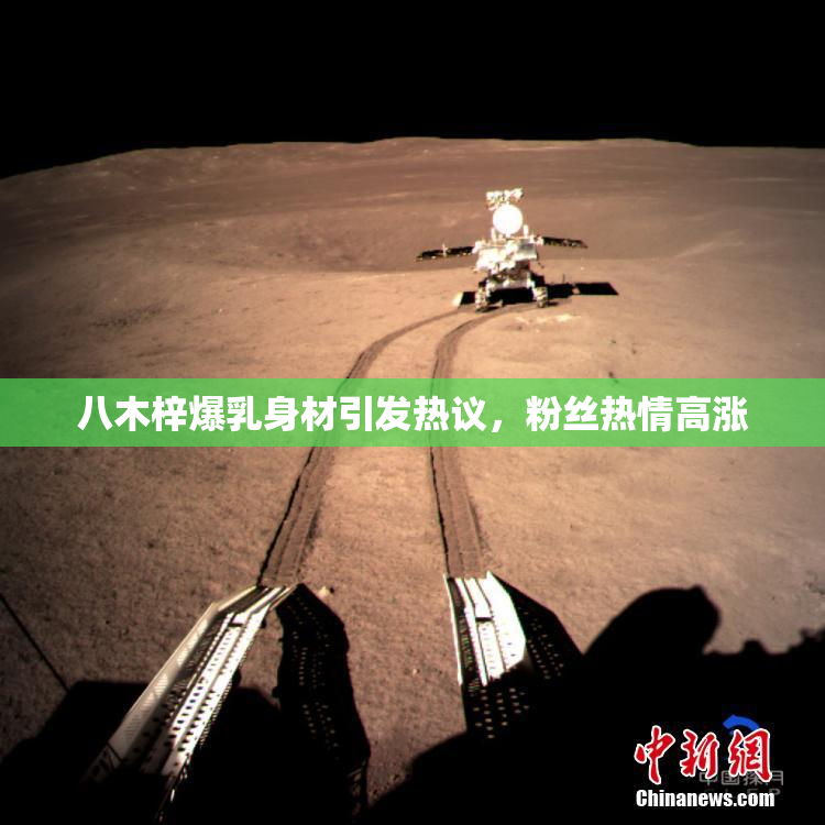 八木梓爆乳身材引发热议，粉丝热情高涨