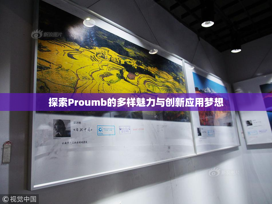 探索Proumb的多样魅力与创新应用梦想
